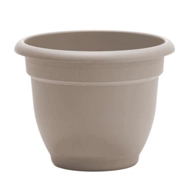 PLANTR ARIANA PS 10"