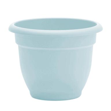PLANTR ARIANA BLU 12"D