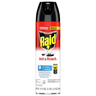 ANT/ROACH KILLER 17.5OZ