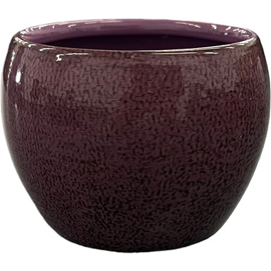 3" STORMY PURPLE BRAEBURN POT