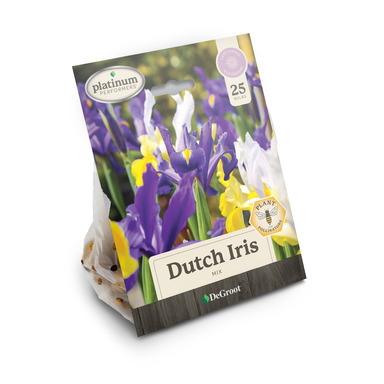 NS BULB DUTCH IRIS 25PK