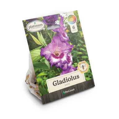 NS PLNT MX GLADIOLUS 6PK