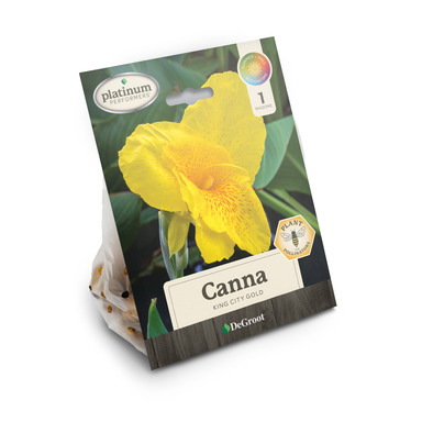 NS CANA KNG CTY GLD BULB