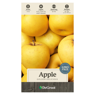 NS APPL TREE DELC YL/GLD