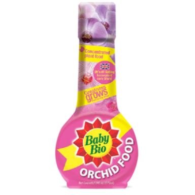PLANT FD ORCHID 5.9OZ