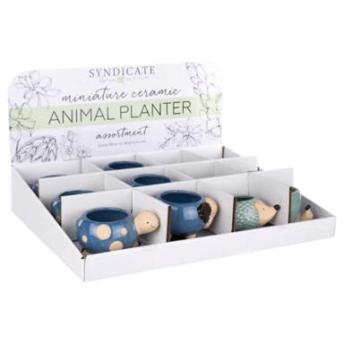 Ap Succulent Animal Pot Asstd