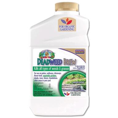 HRBCD BRDLF CNCNTRT 32OZ