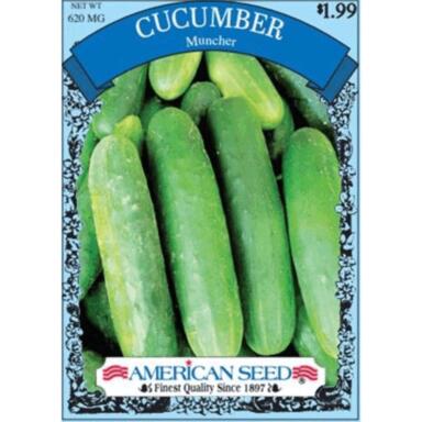 NS--VARIOUS VEG/ HERB SEED