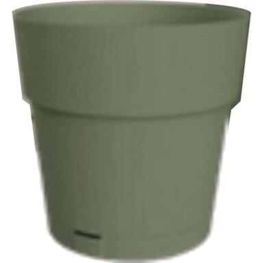 NS PLNTR PNTA GRN 9.85"