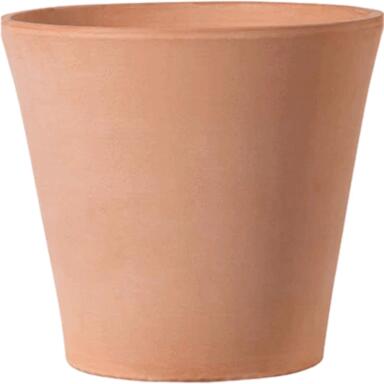 NS PLNTR CONO CLAY 7.6"
