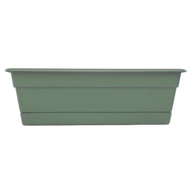 Wndw Bx Plst Basil 18"
