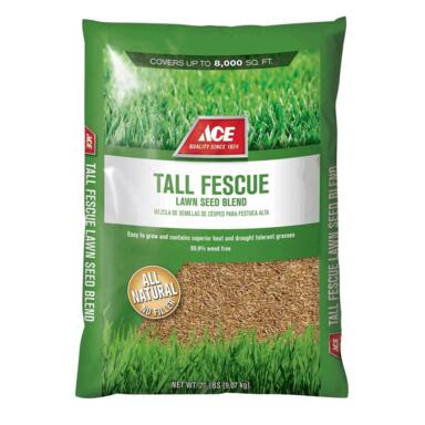 GRS SD TALL FESCUE 20#