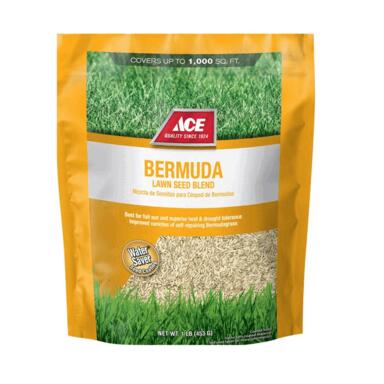 Ace Bermuda Grass 1#
