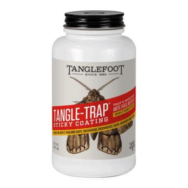 Tf Tangle-trap Insect Gel 8oz