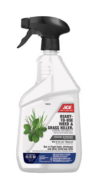 KILR WEED&GRASS RTU 24OZ