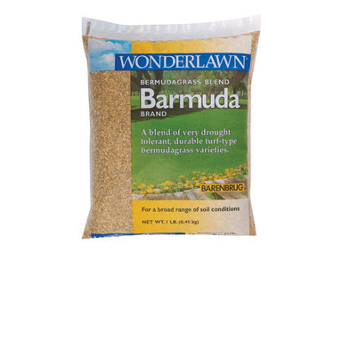 BARMUDA BERMUDA GRASS 1#