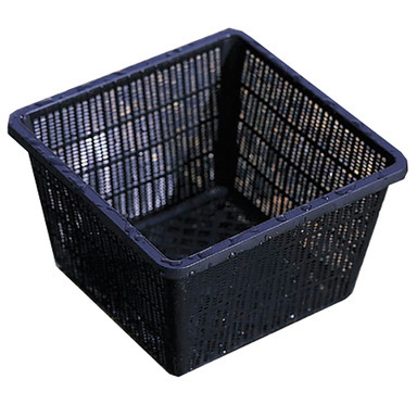 BASKET PLANT SQ PLSTC10"