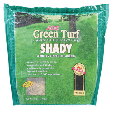 ACE SHADY GRASS SEED 10#
