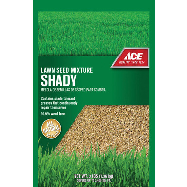 ACE Shady Grass Seed 3#