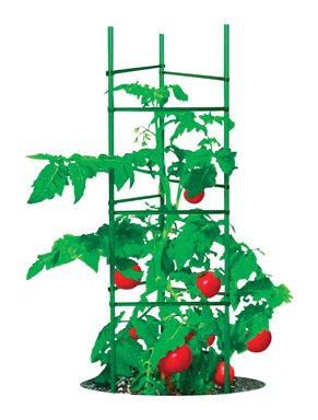 ULTOMATO POLY TOMATOCAGE