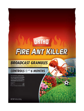 ORTHO FIREANT XILR11.5LB