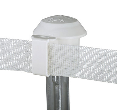 T-Post Safety Cap & Insulator WH