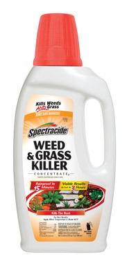 WEED&GRASS KILLR 32OZ