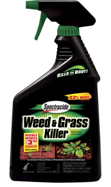 WEED/GRASS KILL 32OZ SP