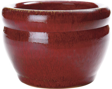 MING POT OXBLOOD 8.25"