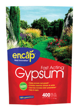 GYPSUM PLUS AST 2.5LB