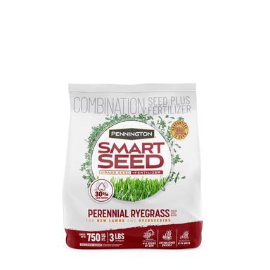 SMARTSEED RYEGRASS 3LB