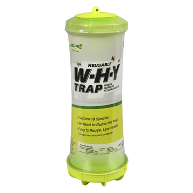 Why Wasp & Hornet Trap