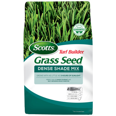 Dense Shade Seed Tb 3#