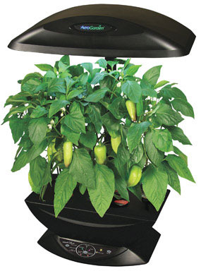 1/2" DRIL BIT ST TTNM PP 14PC