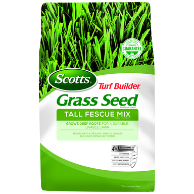 TB TALL FESCUE 7LB