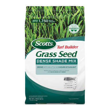 TB DENSE GRASS SEED 7#