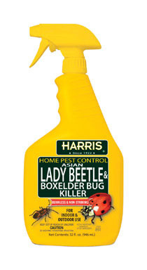 32-OZ Asian Beetle Bug Killer