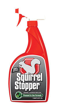 SQUIRREL STOPER 32OZ RTU
