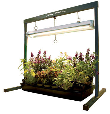 JUMP START GROW LIGHT 2