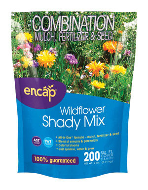 NS SHADY WILDFLOWERS