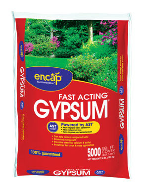 FAST ACTING GYPSUM 30LB