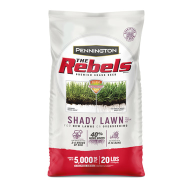 SEED SHADY TL FESCUE20#