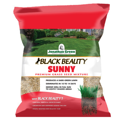 GRS SEED BLKBTY SUN 3#
