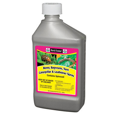 BORER BAGWORM SPRAY 16OZ