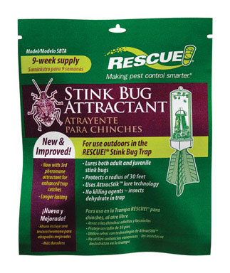 STINK BUG ATTRACTANT