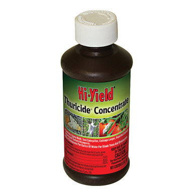 THURICIDE INSECTICIDE8OZ