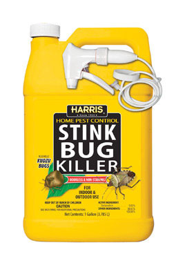 STINK BUG KILLER GAL RTU