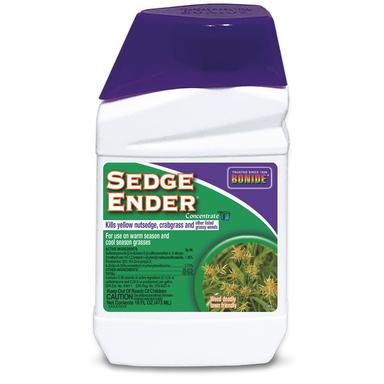 SEDGE ENDER CONC 16OZ