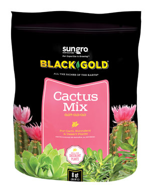 8QT Black Gold Cactus Mix