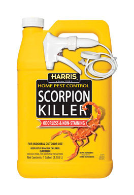 SCORPION KILLER 1 GAL